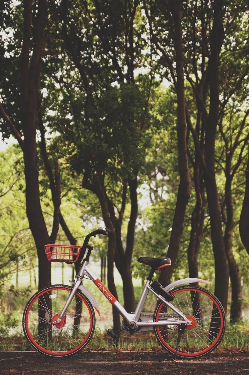 A bike with orange details, handlebars and trees as background