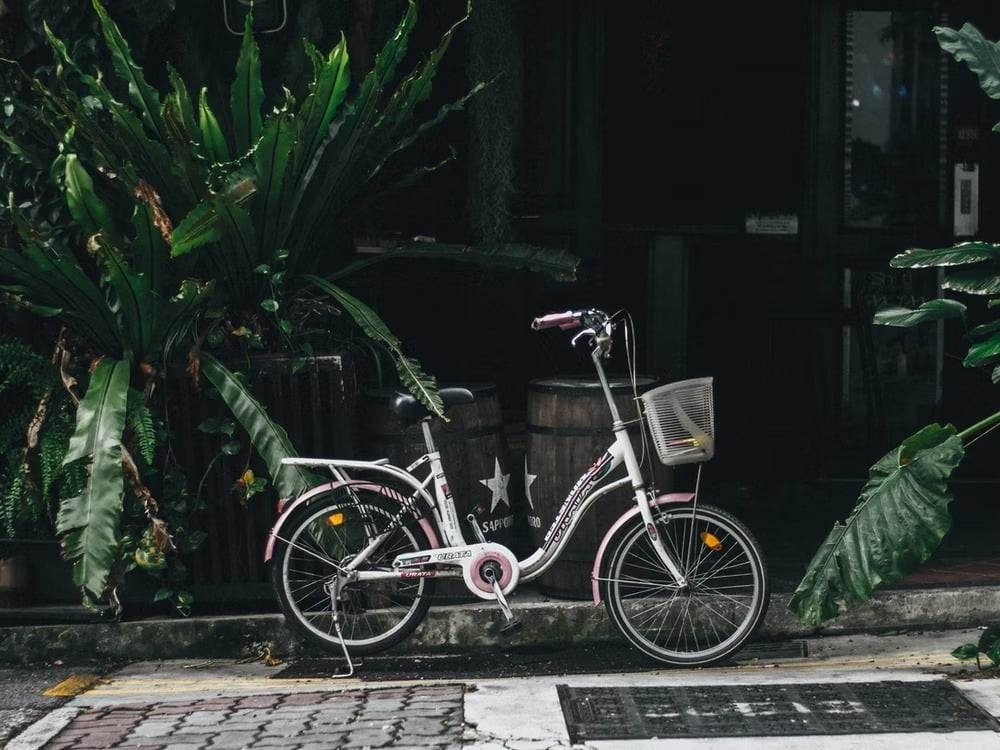 A woman's bicycle with a basket and with plants in the background