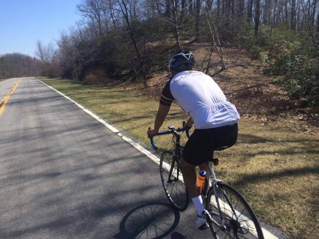a cycling riding along a wood lined road