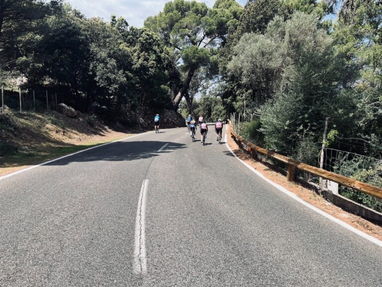 group of cyclists out on a training ride