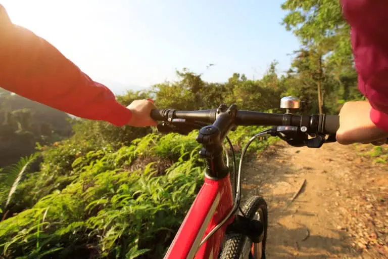 cyclist hands riding mountain bike on forest trail