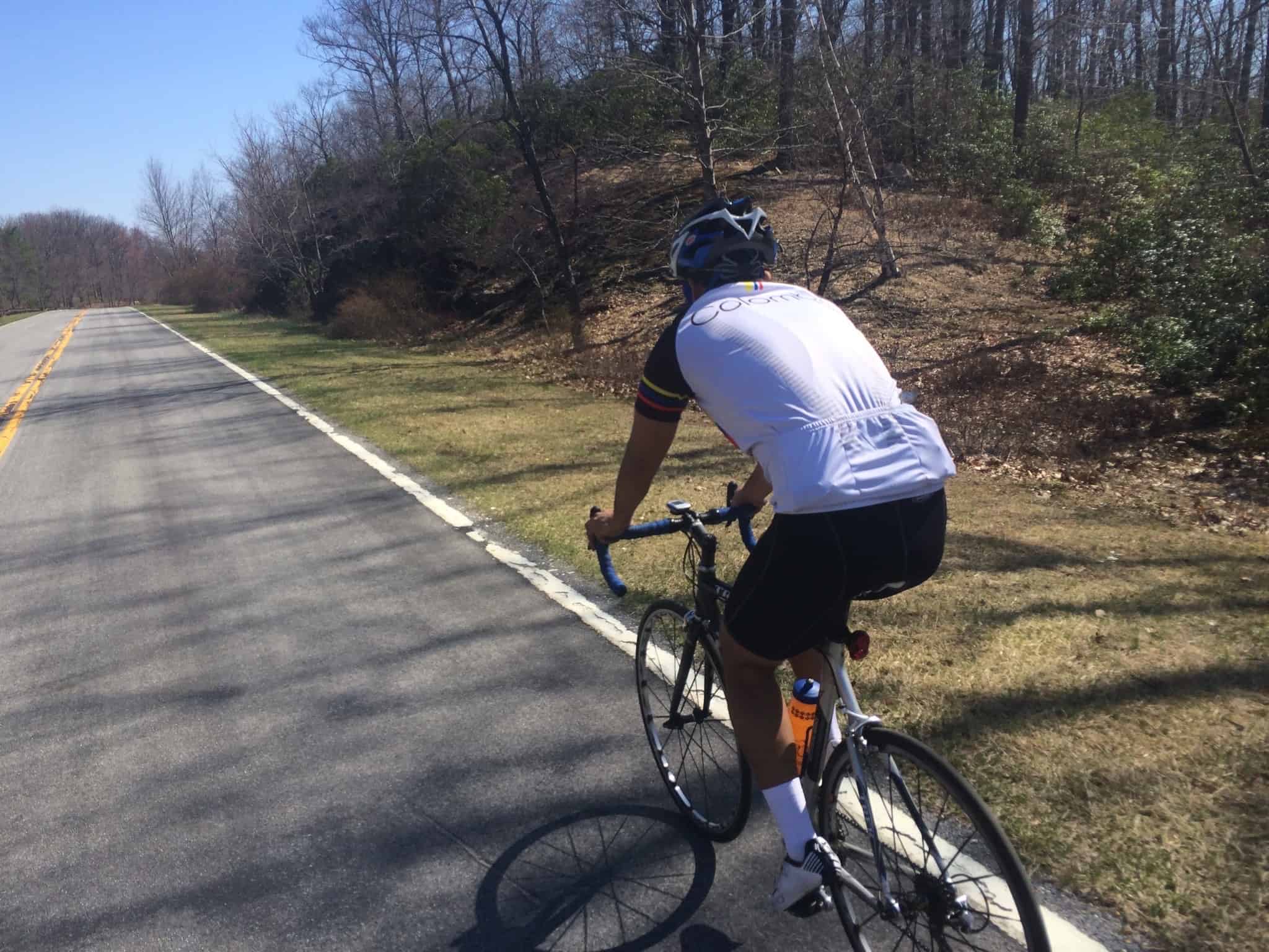 a cycling riding along a wood lined road
