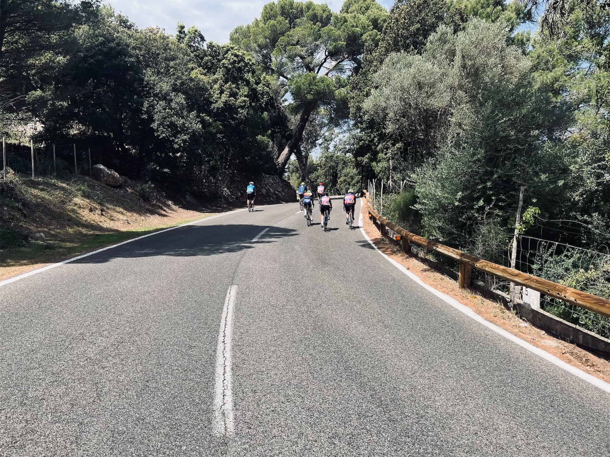 group of cyclists out on a training ride