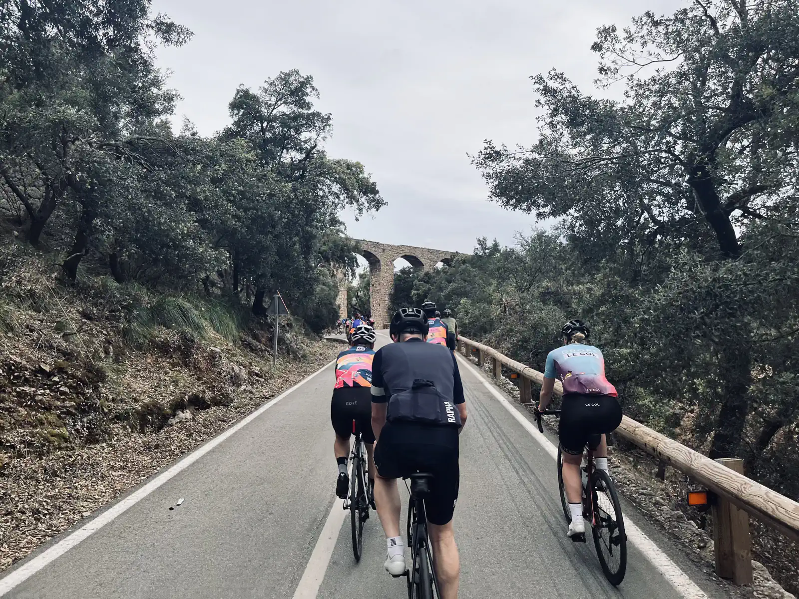 A bunch of cyclists are pedaling uphill on a tree-lined road, making their way to a stone archway up ahead. A bunch of cyclists are pedaling uphill on a tree-lined road, making their way to a stone archway up ahead.